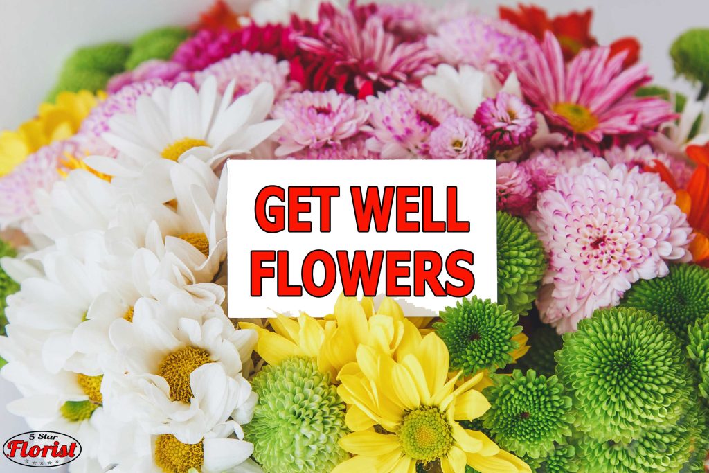 get well flowers Raleigh